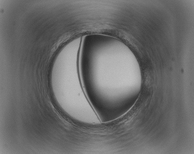 X0000062800685200512221107