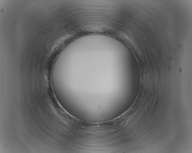 X0000062800688200512221107