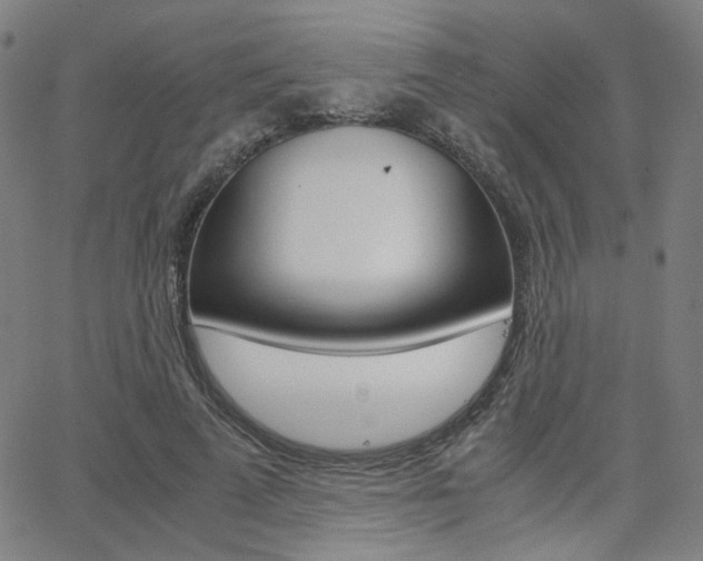 X0000062800689200512221107