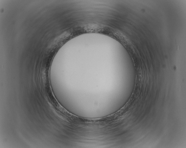 X0000062800690200512221107