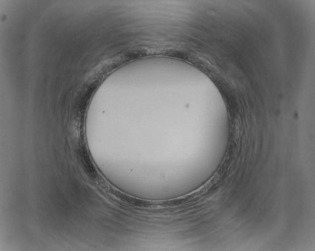 X0000062800691200512221107