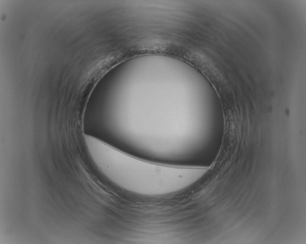 X0000062800692200512221106