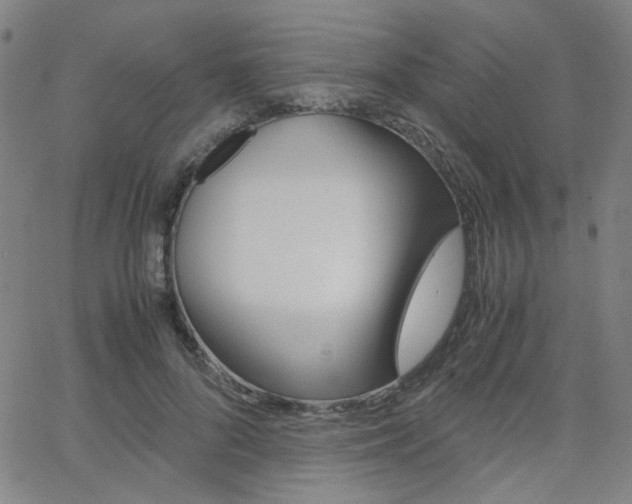 X0000062800696200512221106