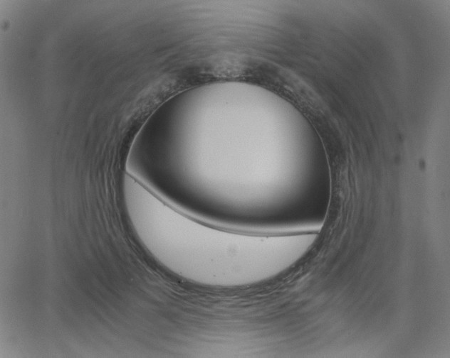 X0000062800697200512221106