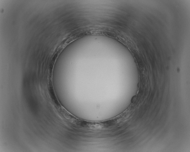 X0000062800698200512221106