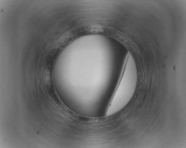 X0000062800704200512221106