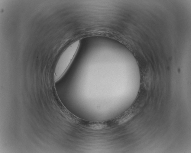 X0000062800708200512221106