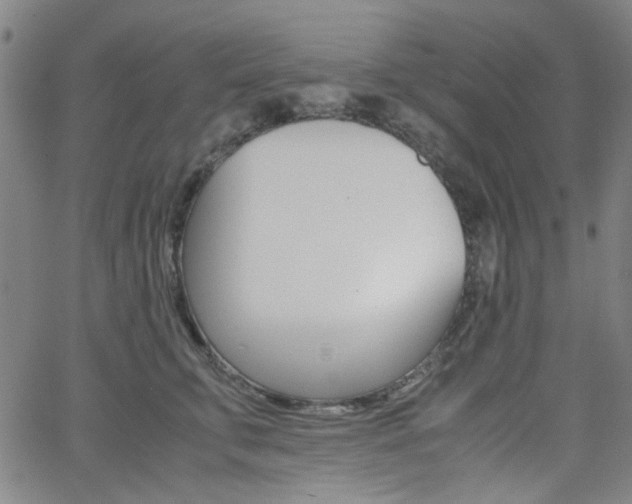 X0000062800711200512221106