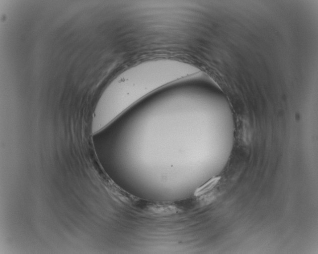X0000062800712200512221106