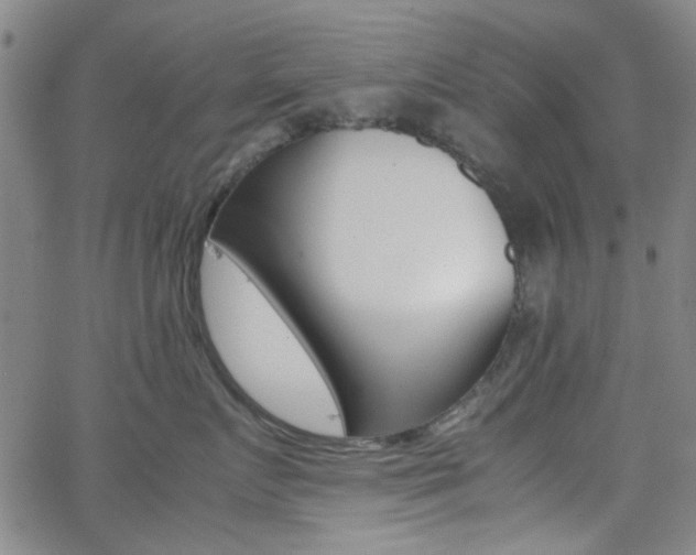 X0000062800719200512221106