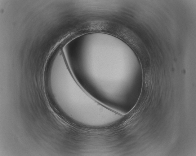 X0000062800722200512221105