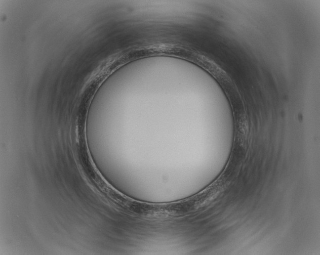 X0000062800734200512221105