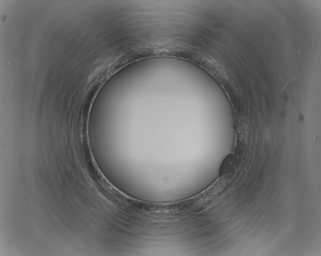 X0000062800740200512221106