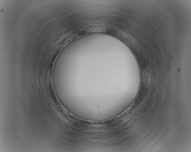 X0000062800741200512221106