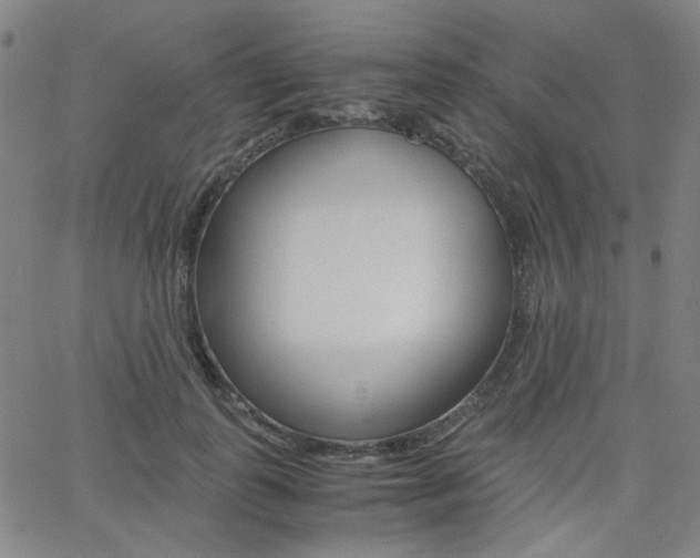 X0000062800747200512221106