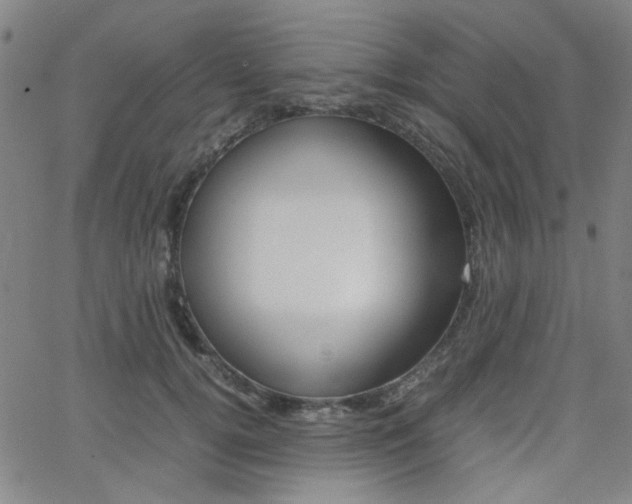 X0000062800752200512221106