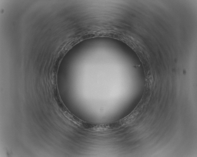 X0000062800756200512221106