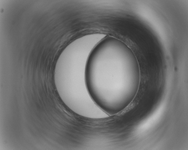 X0000062800766200512221106