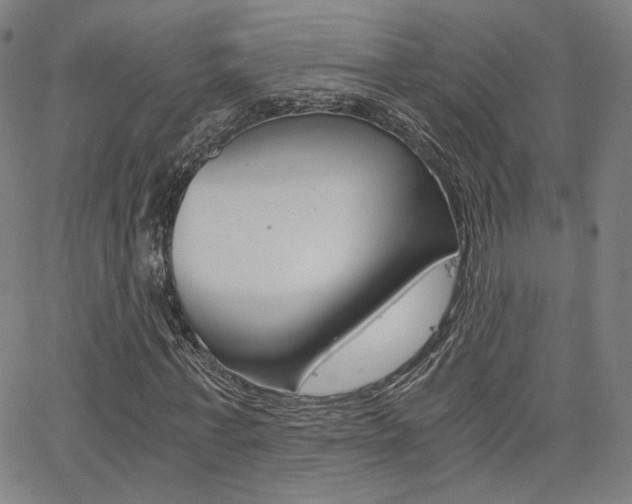 X0000062800771200512221105