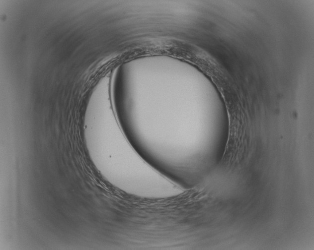 X0000062800773200512221105