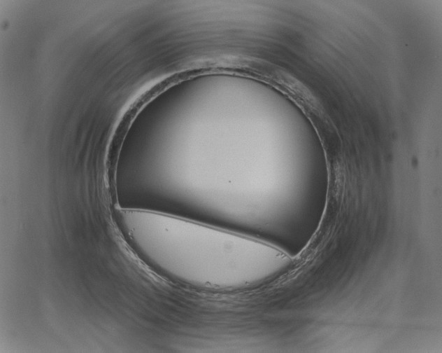 X0000062800784200512221105