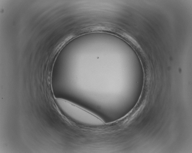 X0000062800793200512221105