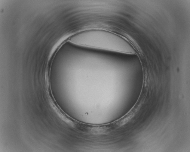 X0000062800796200512221105