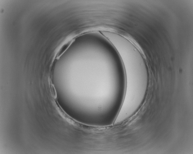 X0000062800813200512221104