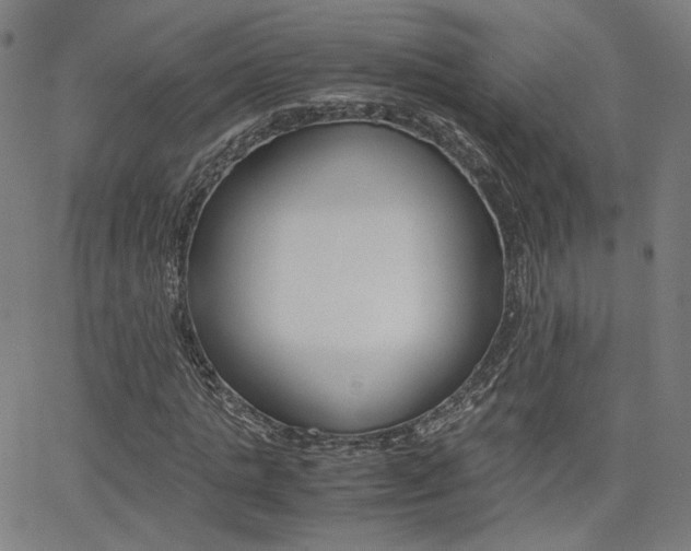 X0000062800821200512221104