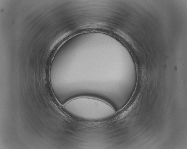 X0000062800826200512221104