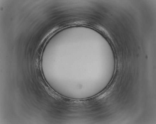X0000062800827200512221104
