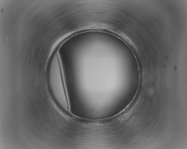 X0000062800838200512221104