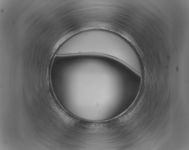 X0000062800842200512221104