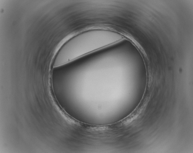 X0000062800853200512221104