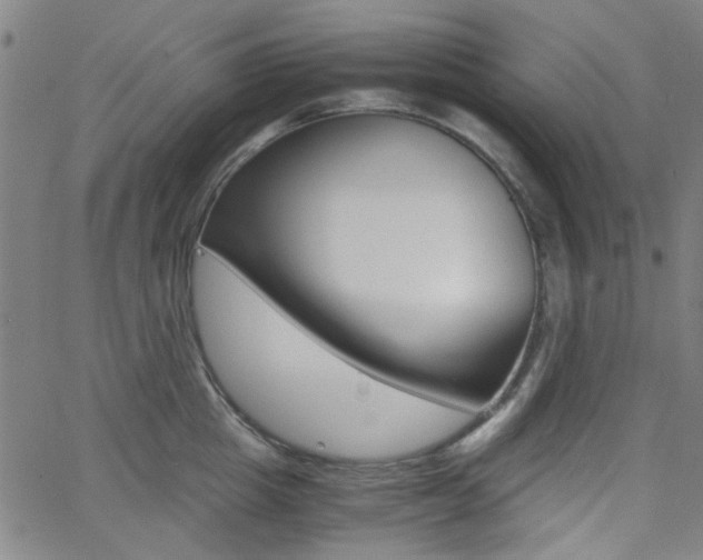 X0000062800857200512221104