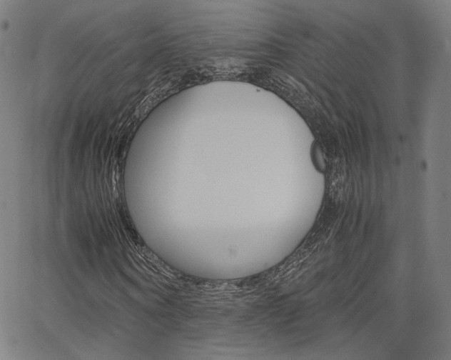 X0000062800866200512221104
