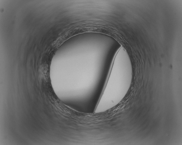 X0000062800867200512221104