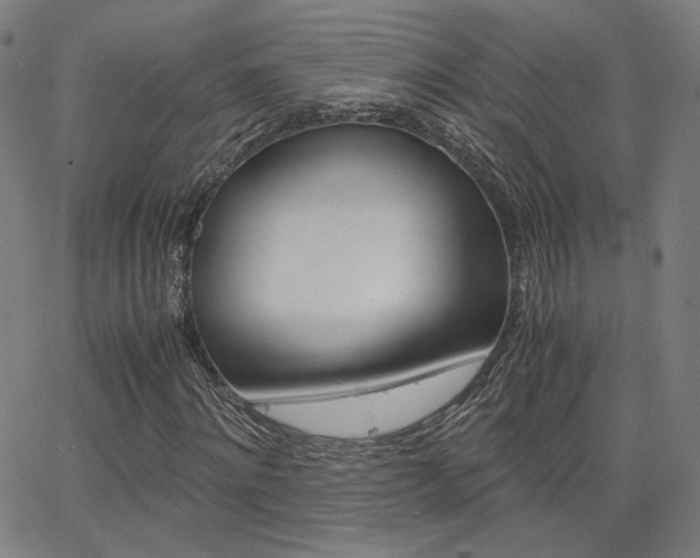 X0000062800868200512221104