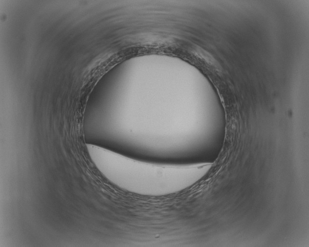 X0000062800869200512221104