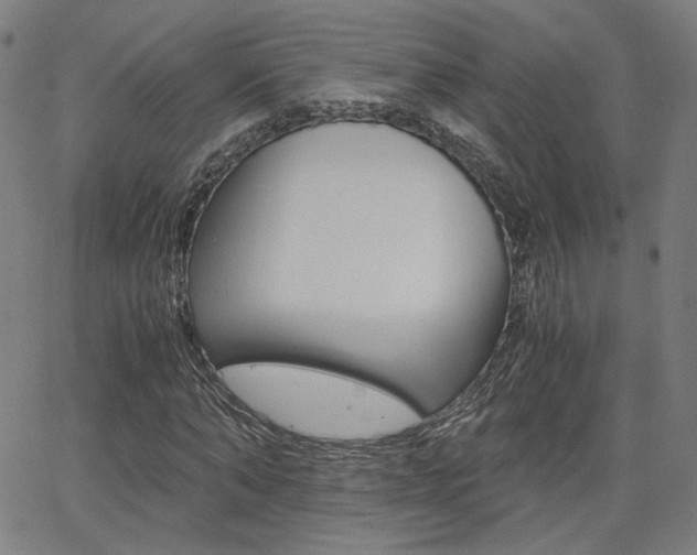 X0000062800870200512221103