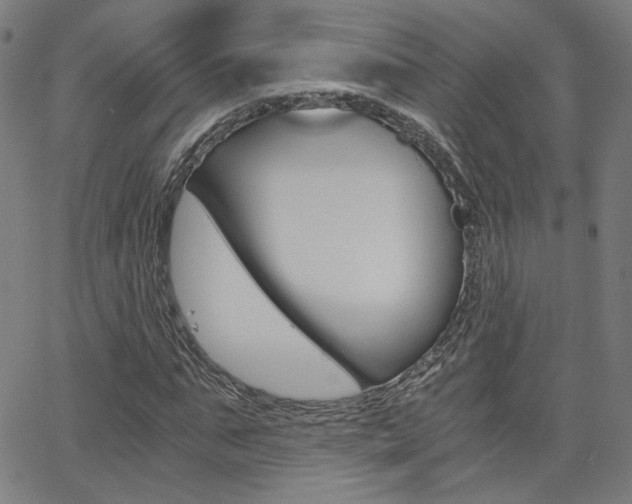X0000062800871200512221103