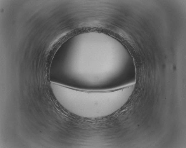 X0000062800872200512221103
