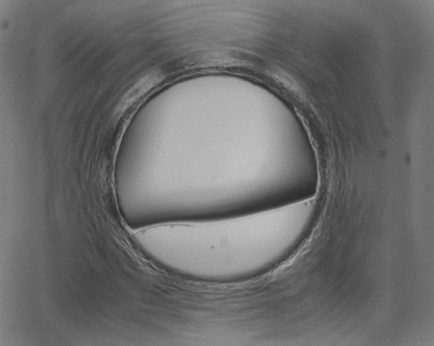 X0000062800873200512221103