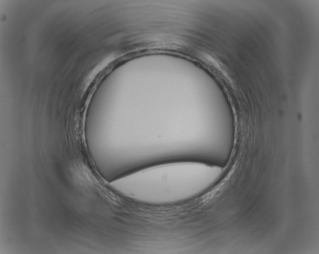 X0000062800875200512221103