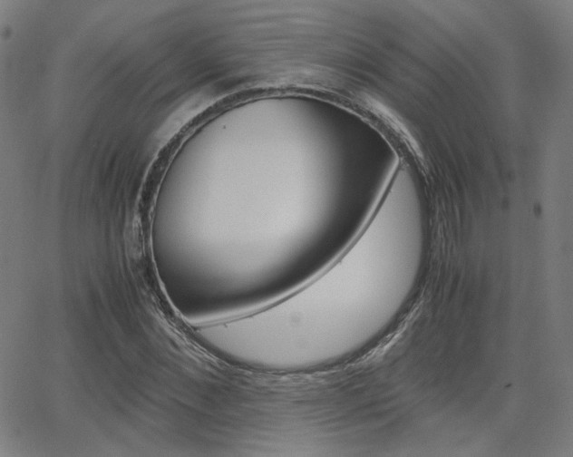 X0000062800876200512221103