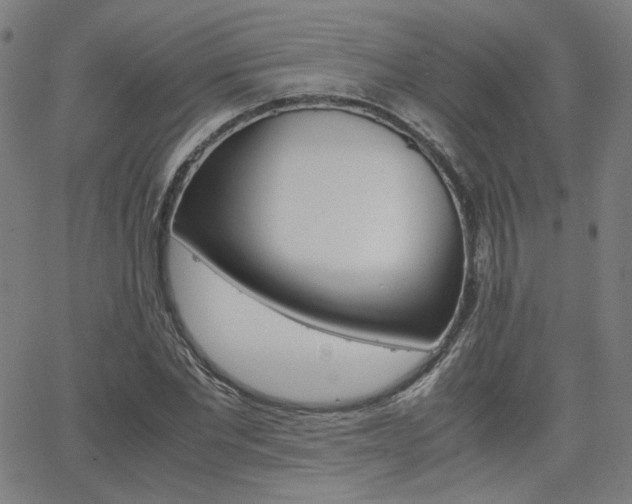 X0000062800877200512221103