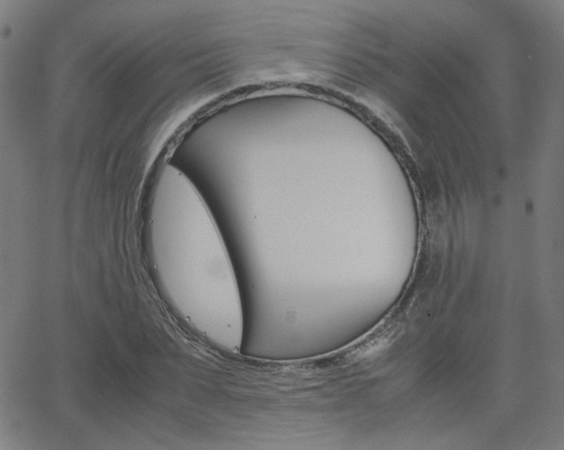X0000062800879200512221103
