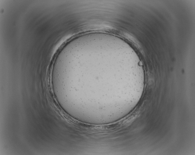 X0000062800883200512221103