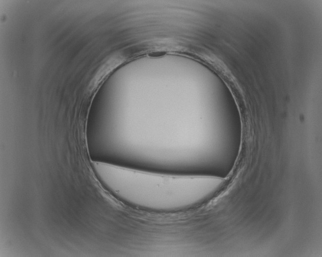 X0000062800889200512221103