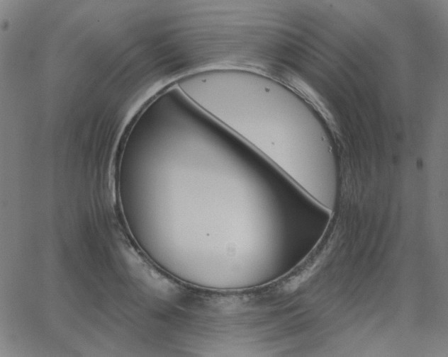 X0000062800892200512221103